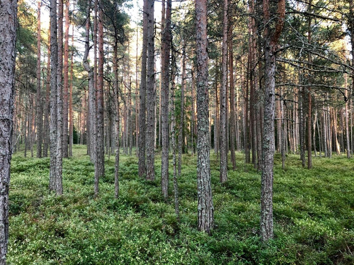 Veela Metsamaja Villa Noarootsi Buitenkant foto