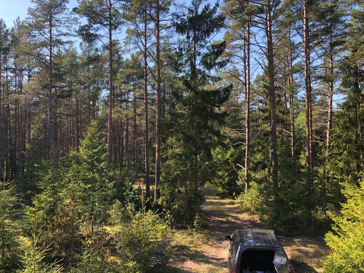 Veela Metsamaja Villa Noarootsi Buitenkant foto